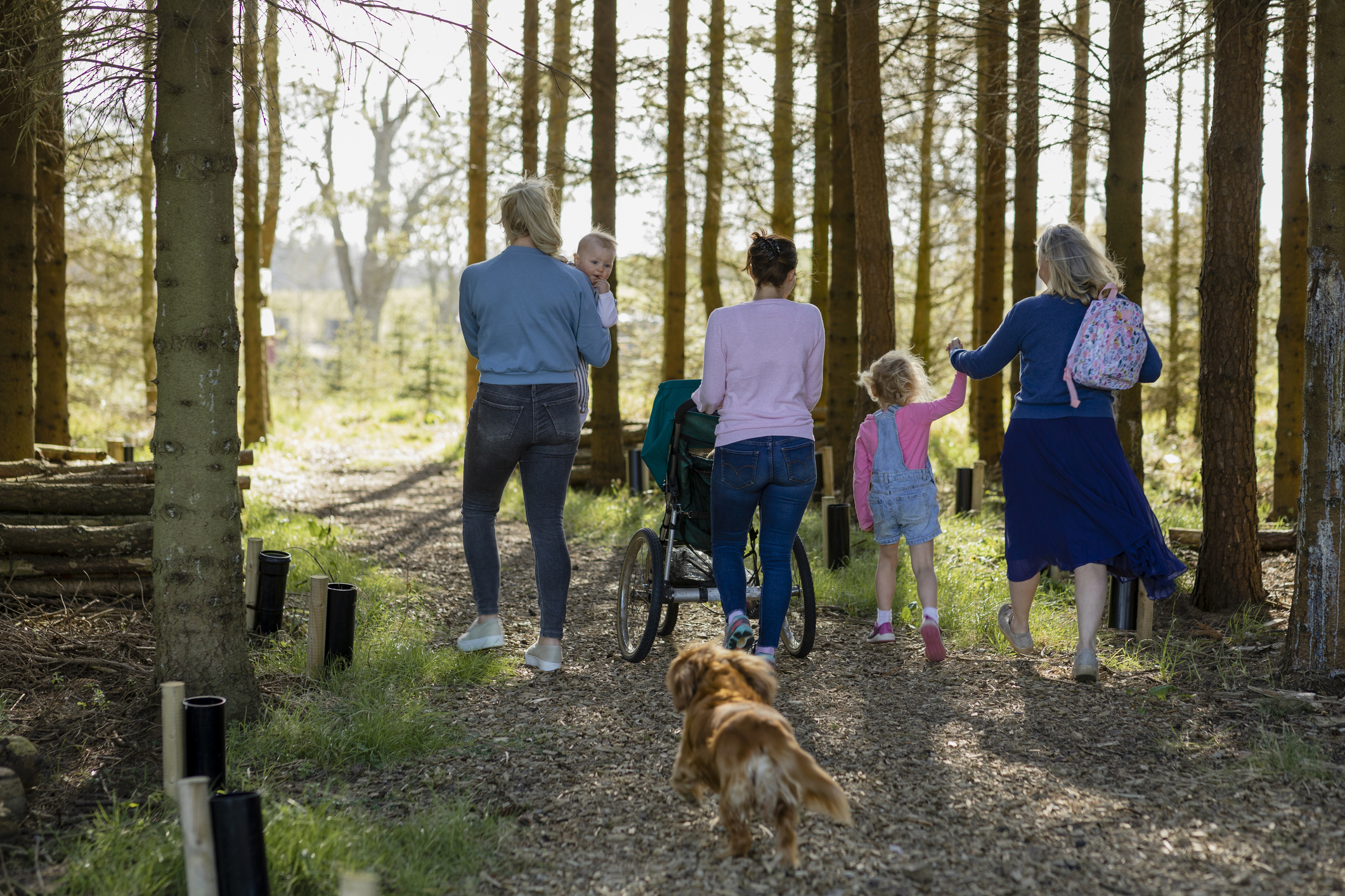 A Sunny Spring Walk